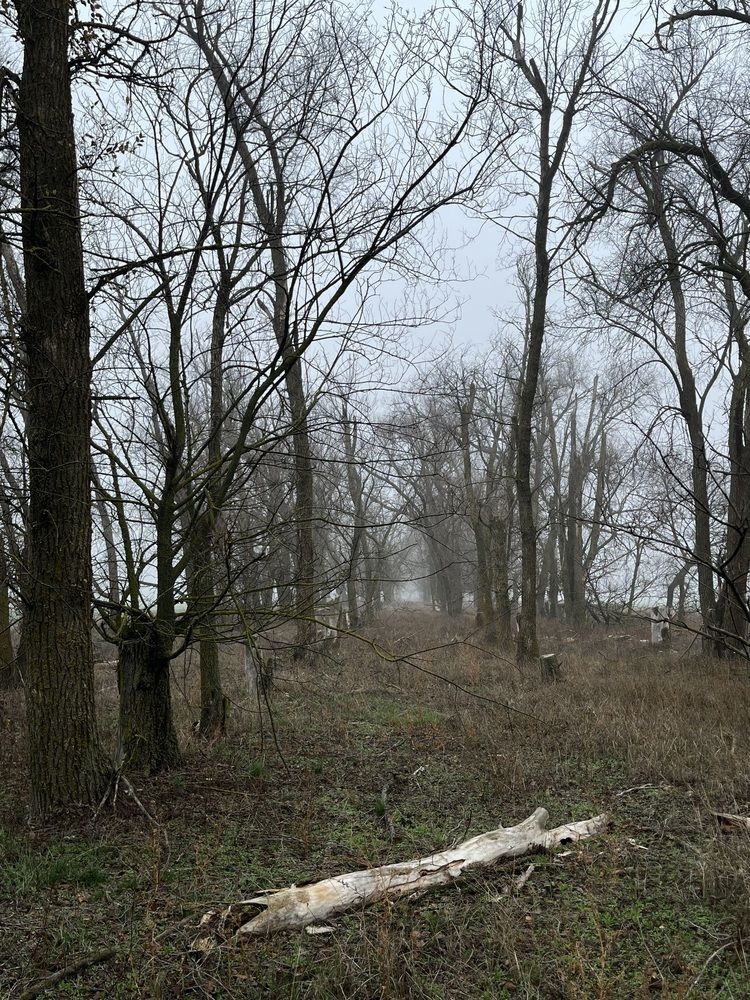 Photograph by Злата Столяр
