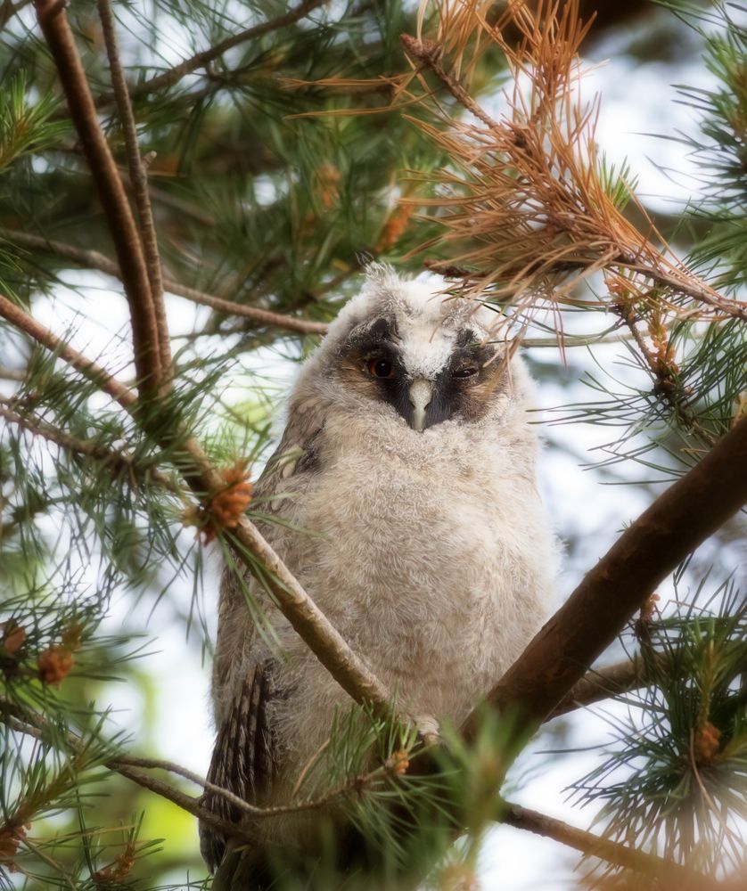 Photograph by Олег Чернышев