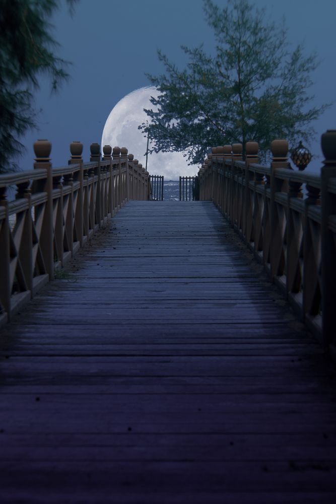 Photograph by Chau Nguyen