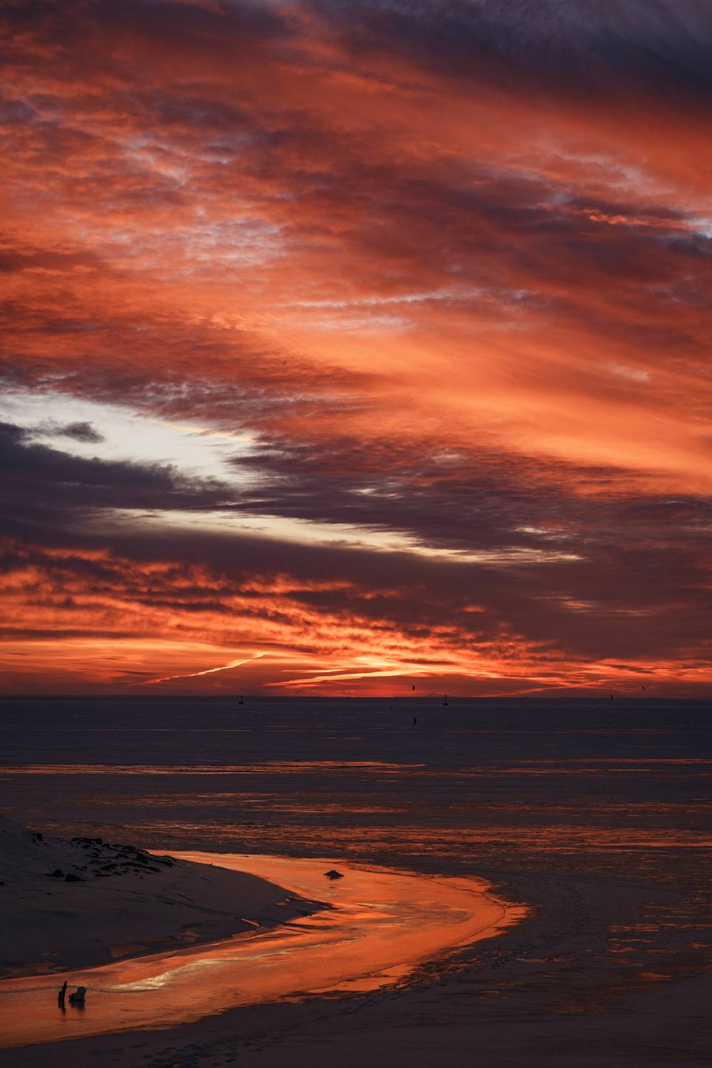 Photo #13098777