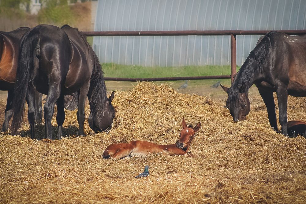 Photograph by Ольга Новикова