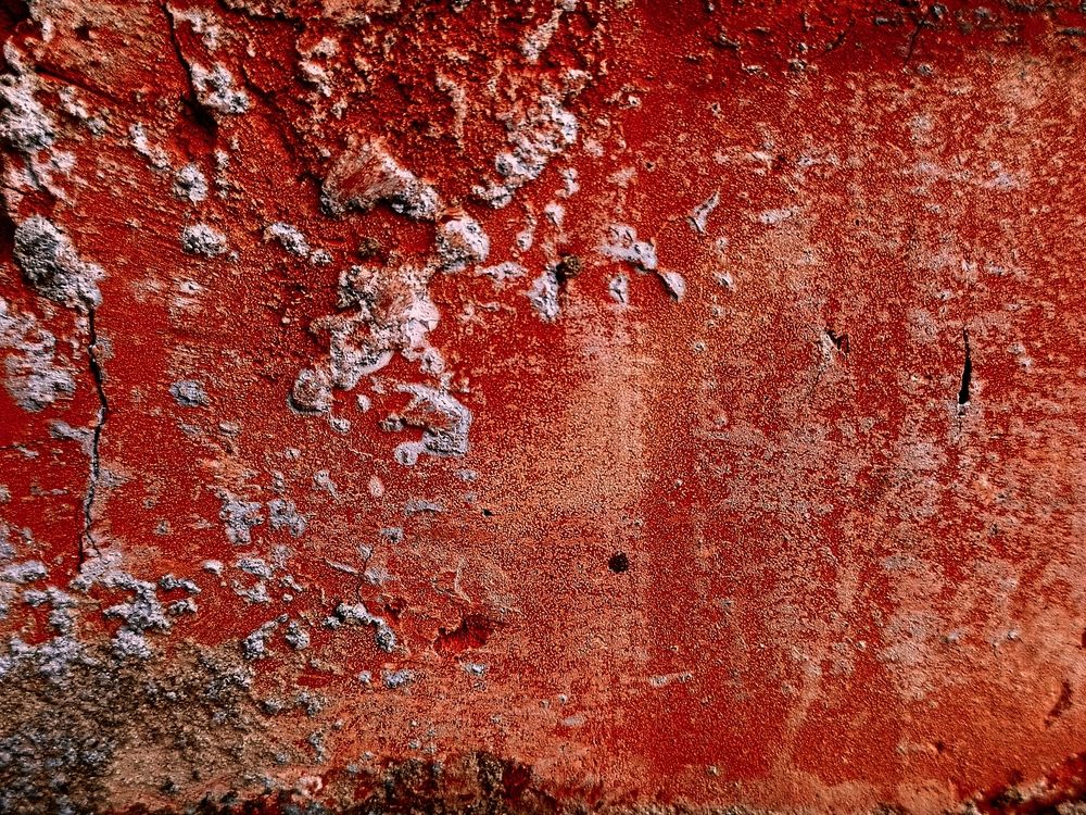 Photograph by Александр Казачек