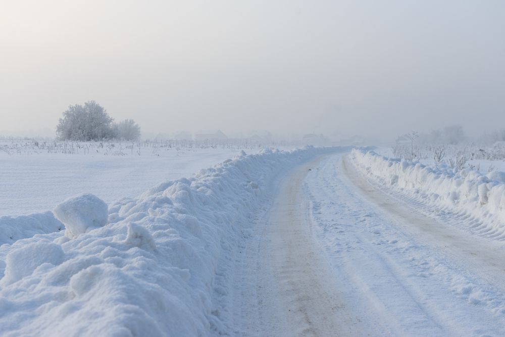Фотография автора Anastasiya Buller