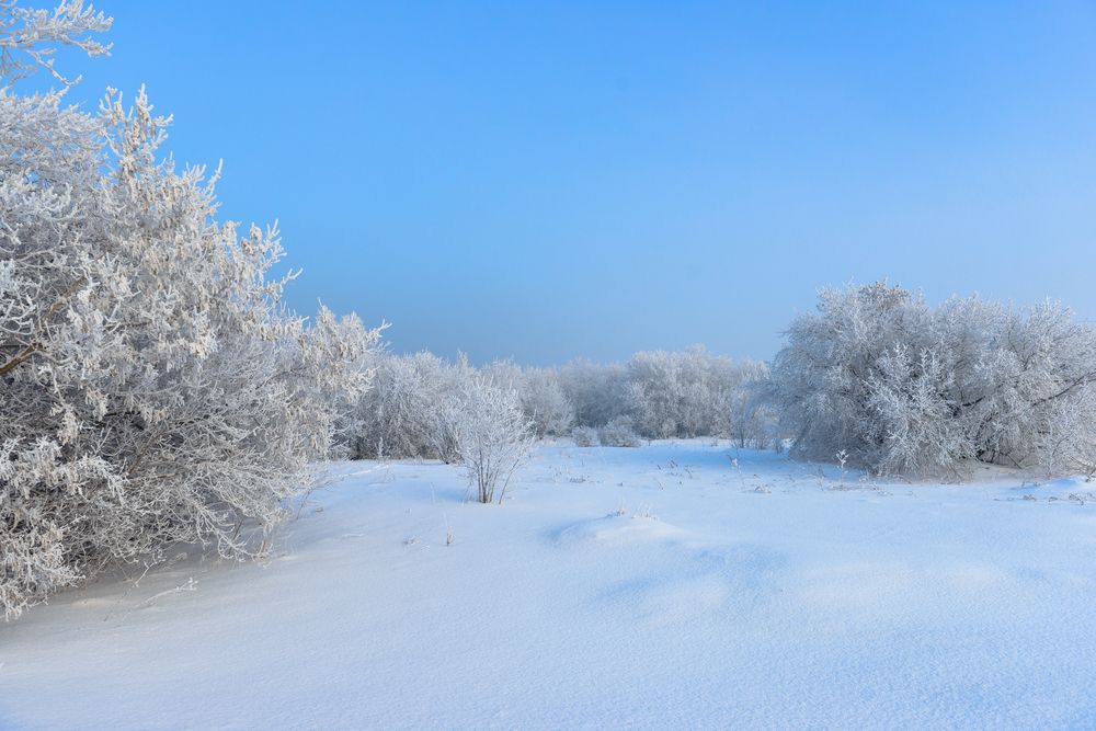 Фотография автора Anastasiya Buller