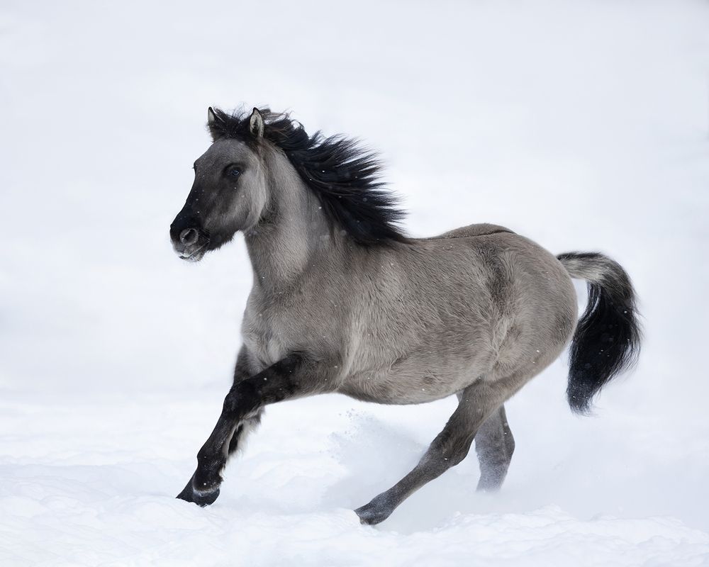 Фотография автора Helena