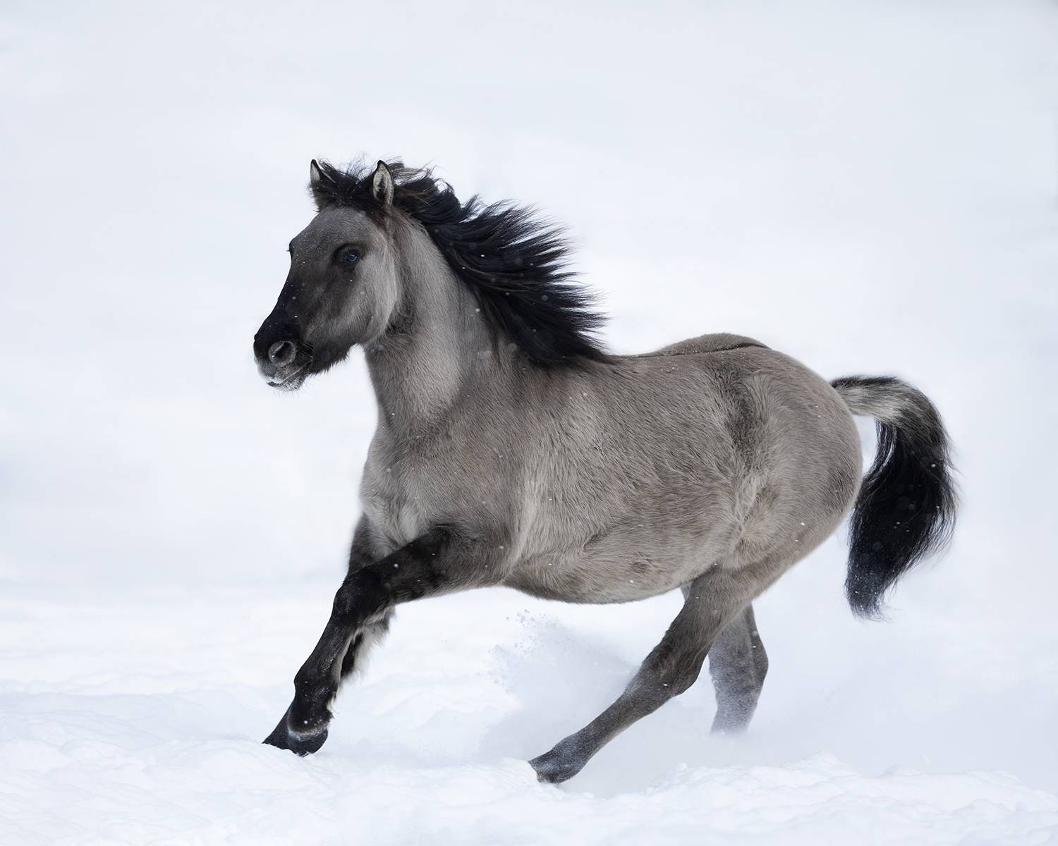 Фотография #13098898