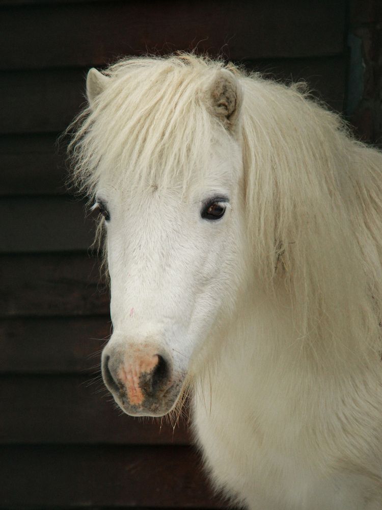 Photograph by Марина Фомичева