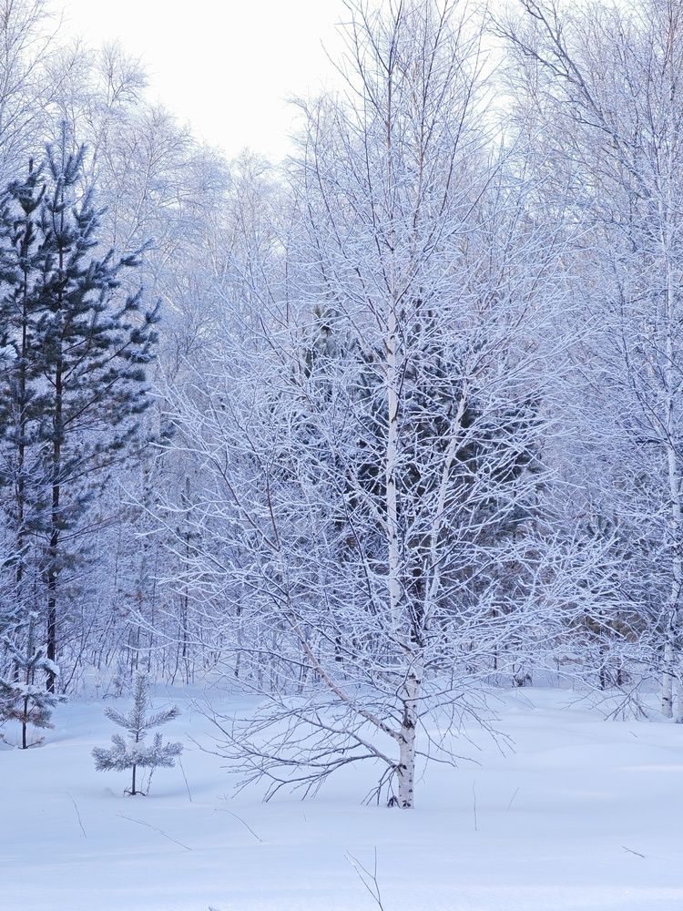 Photograph by Любовь Лунина