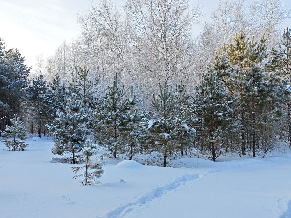 Photograph by Любовь Лунина