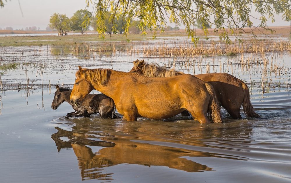 Фотография автора Сергей Басов