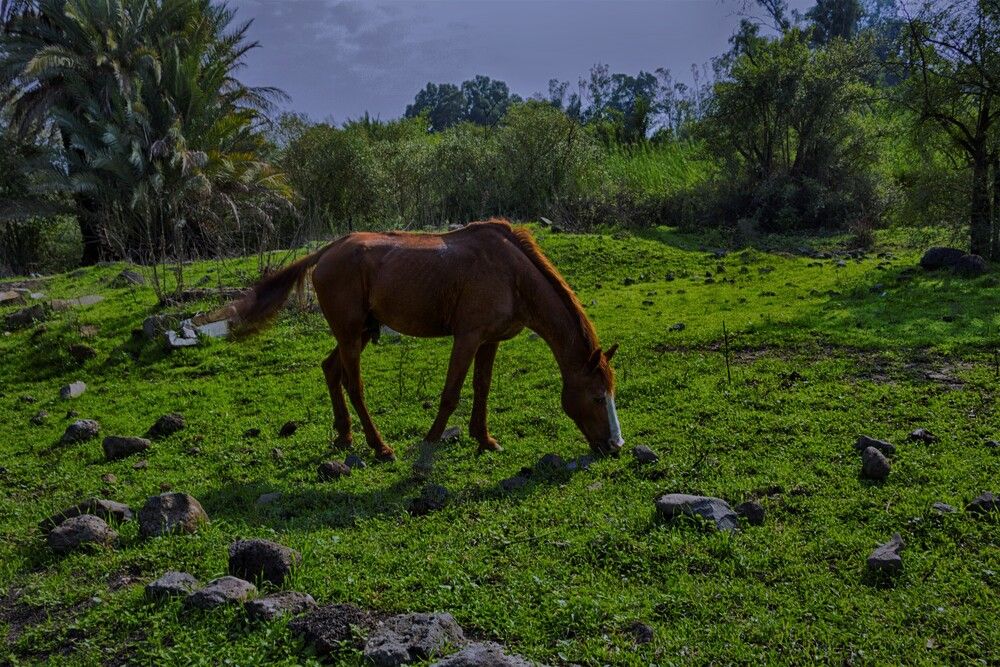 Photograph by Людмила Бутова