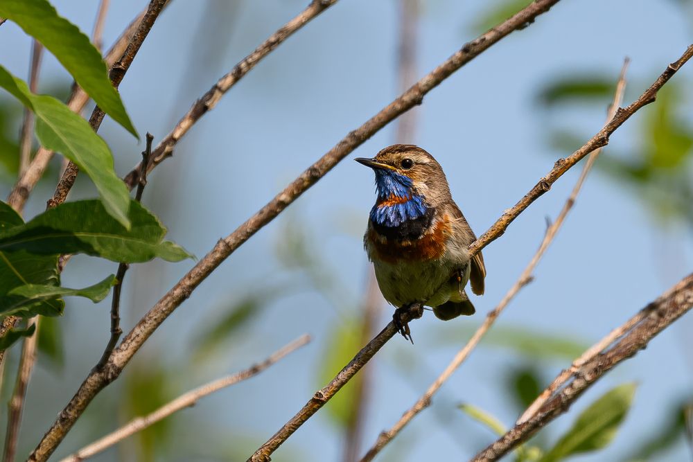 Photograph by Клейменов Алексей