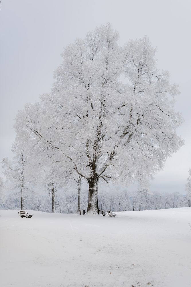 Фотография автора Ed Simon