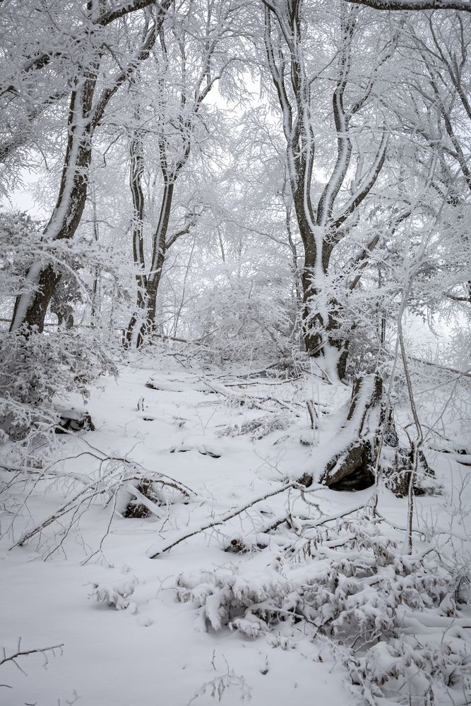 Фотография автора Ed Simon