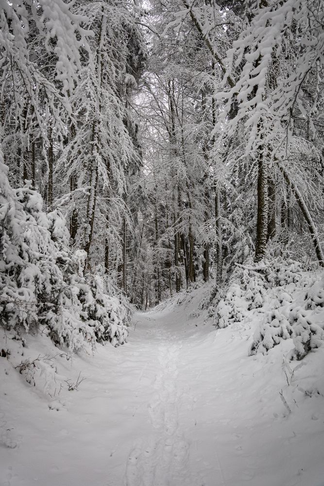 Фотография автора Ed Simon