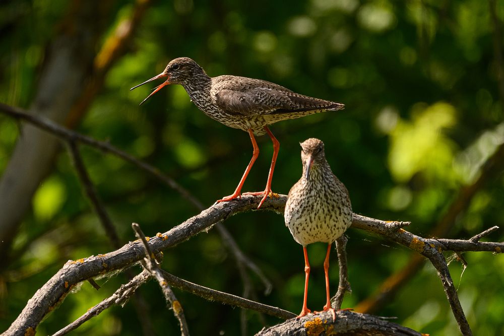 Photograph by Клейменов Алексей