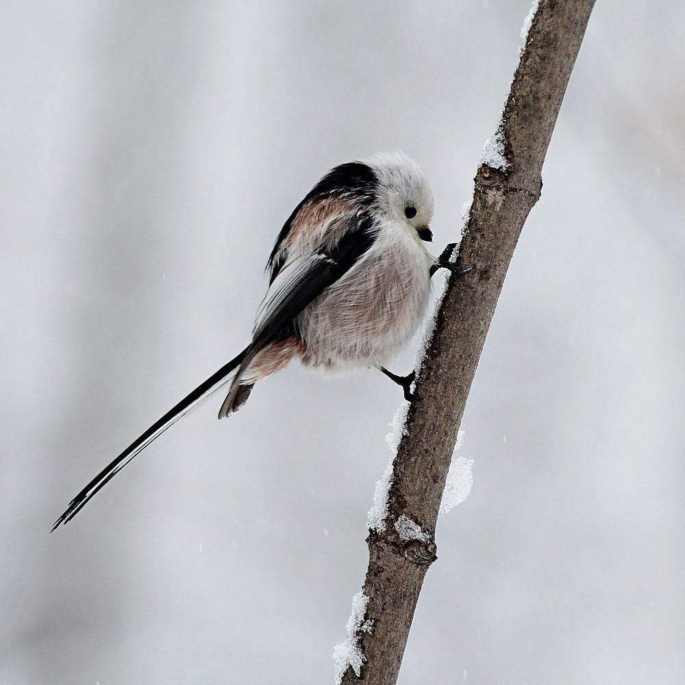 Photograph by Алексей Volg