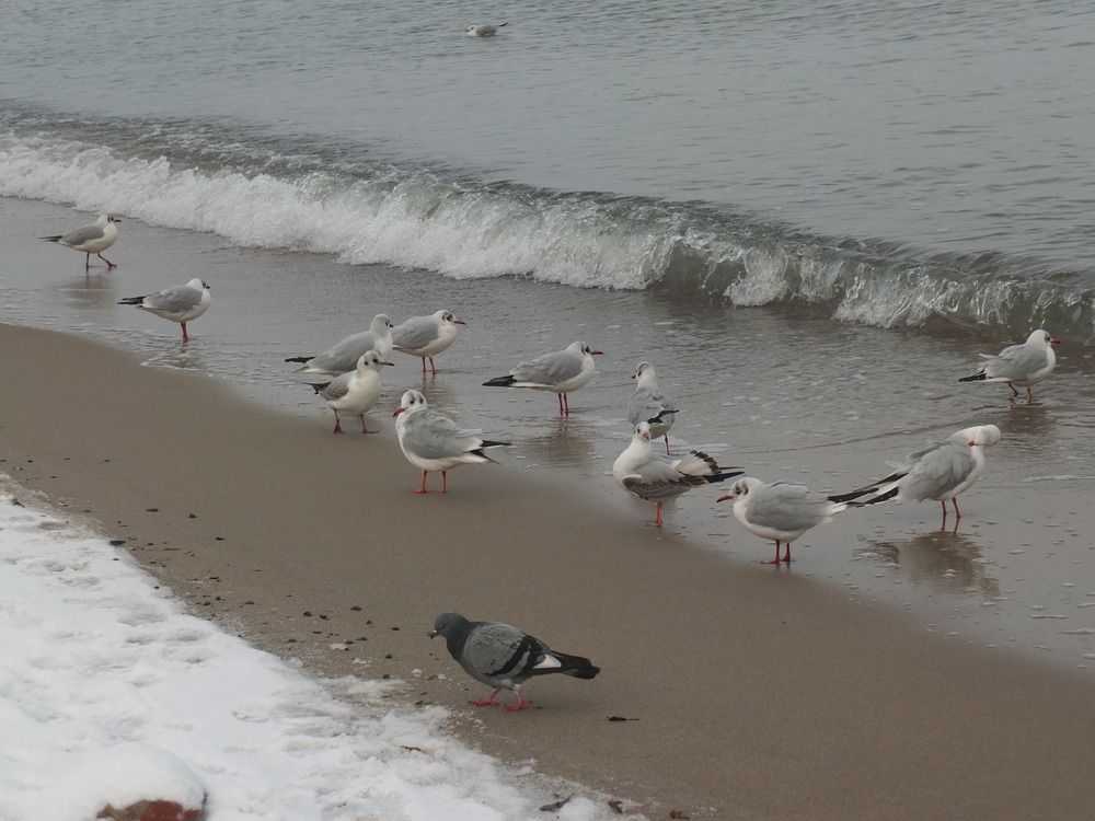 Фотография автора Татьяна Мишкина
