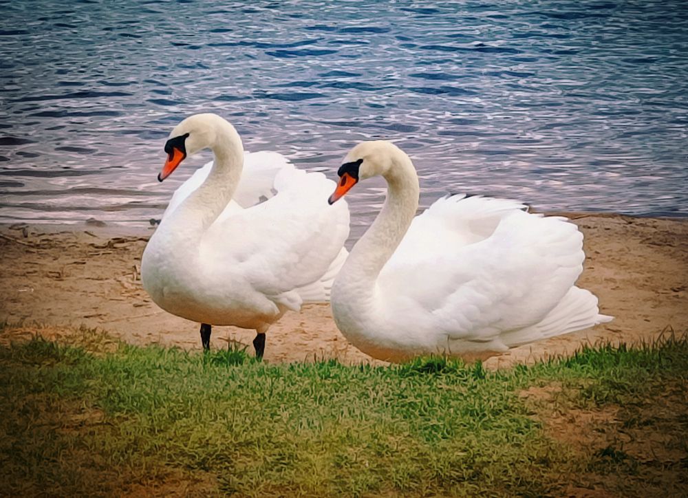 Фотография автора Lija Mežecka