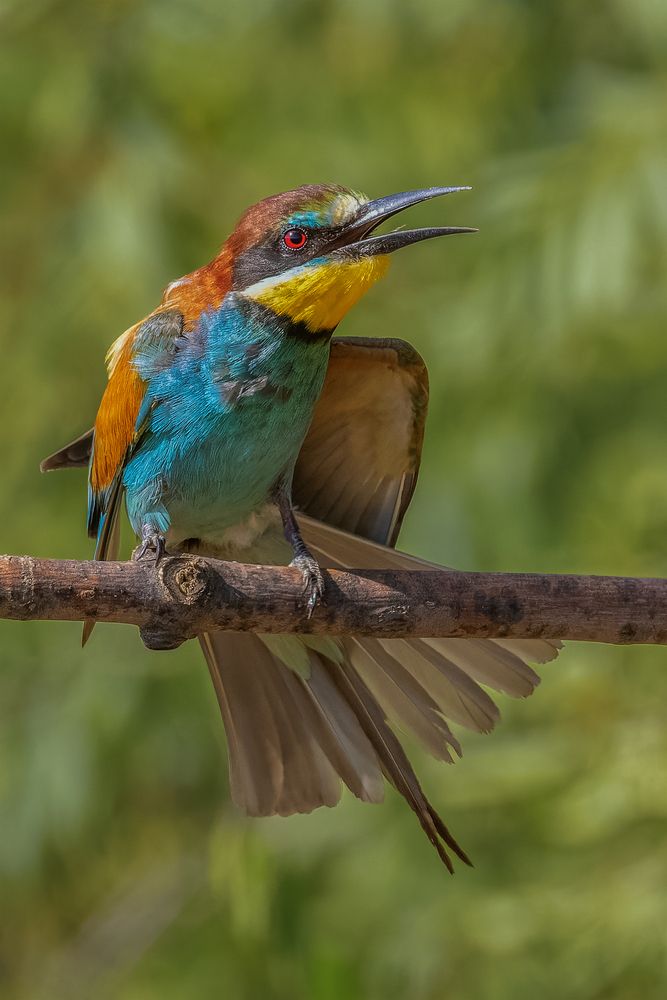 Да что ты говоришь!