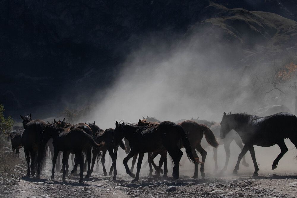 Photograph by Екатерина Ненахова