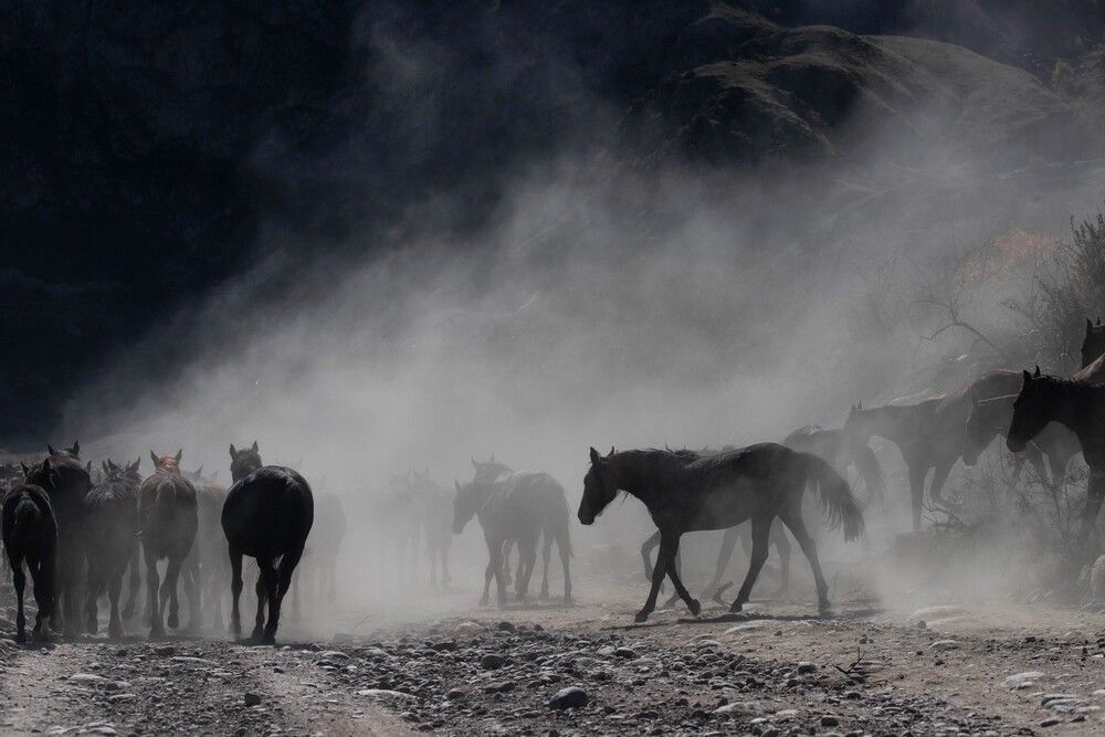 Photograph by Екатерина Ненахова