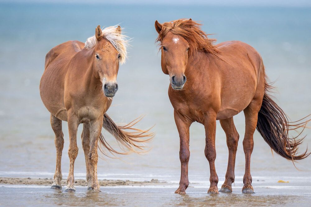 Photograph by Бушков Евгений