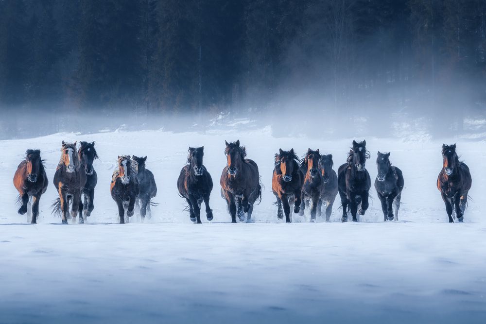 Photograph by Lubomir Perunko