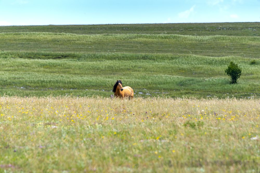 Photograph by Будаква Сергей