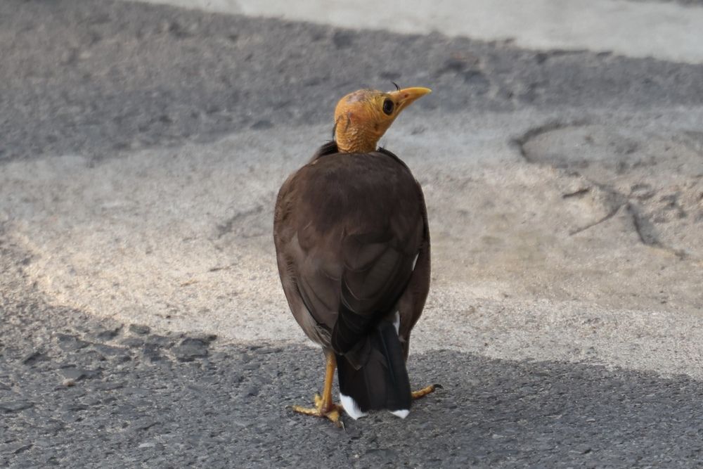 Фотография автора Иван Безрядин