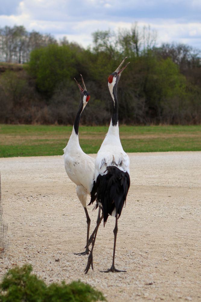 Фотография автора Иван Безрядин