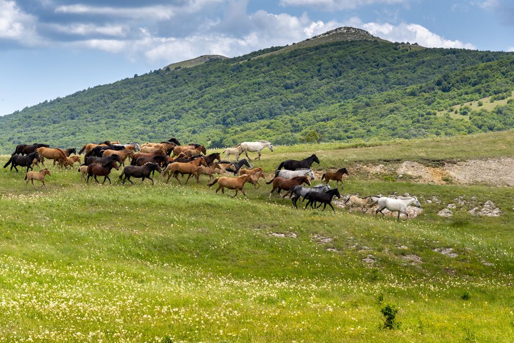 Photograph by Будаква Сергей