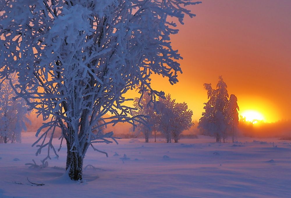 Photograph by Александр Лазебник