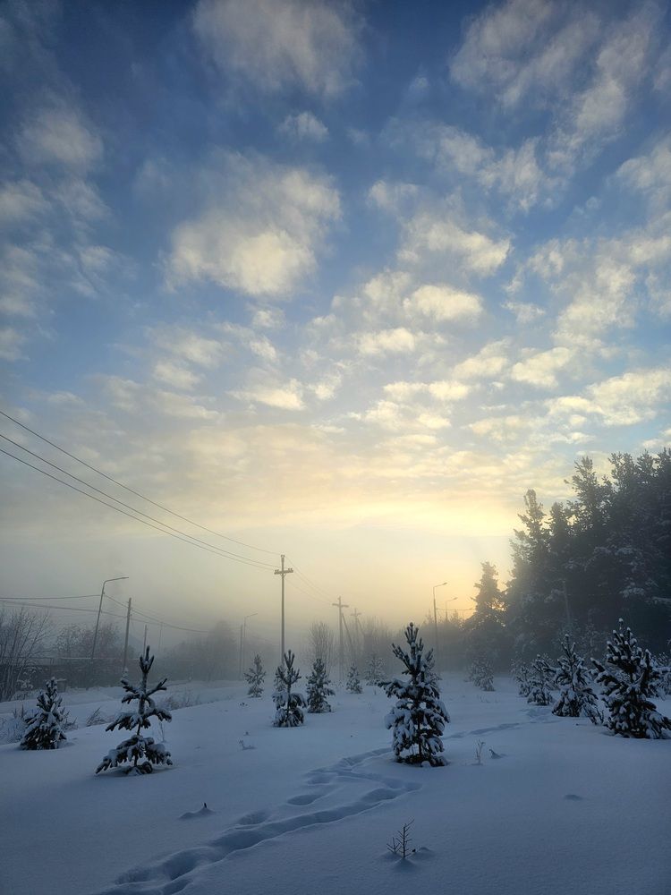 Photograph by Светлана Болтовская