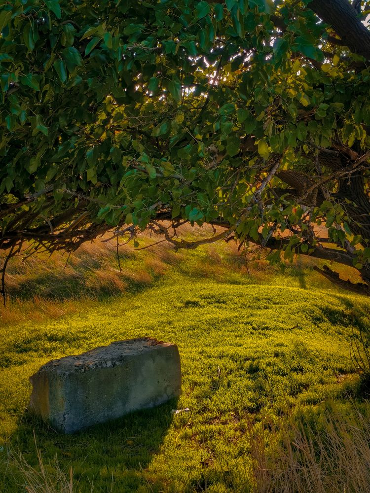 Photograph by Елена Бодак