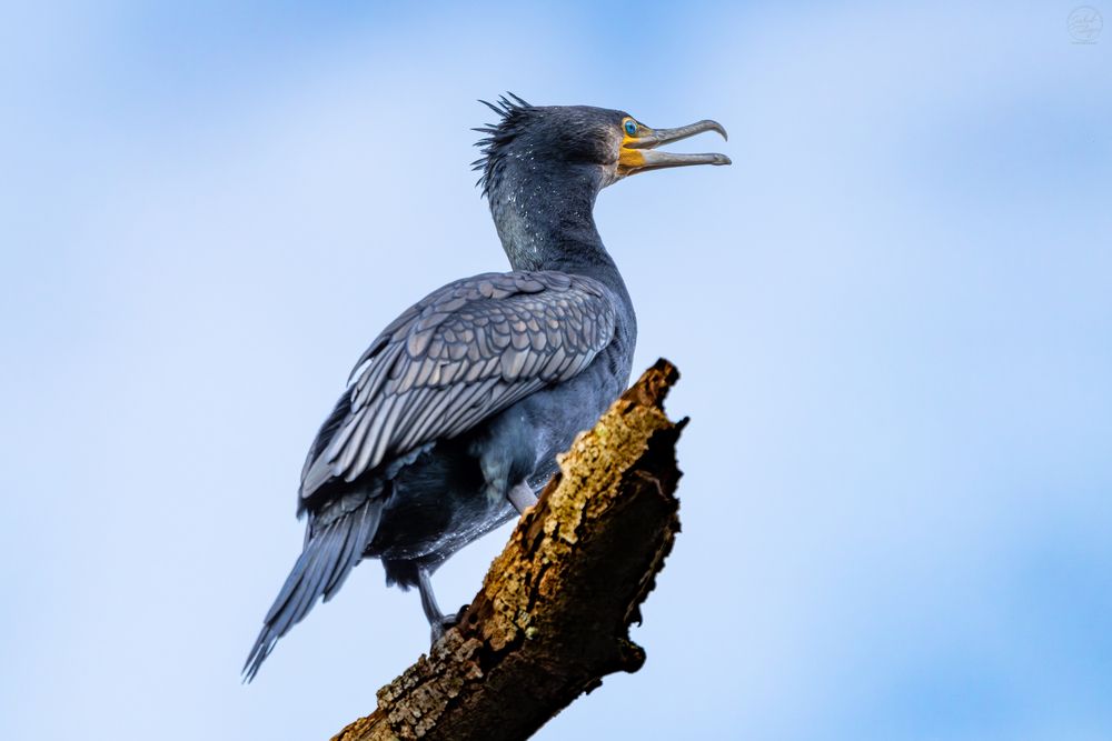 Photograph by Jakub Tulaza