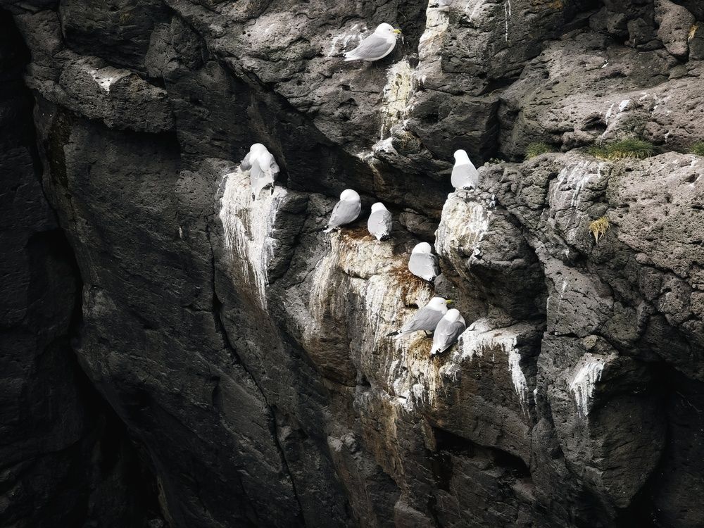 Photograph by Татьяна Соколовская