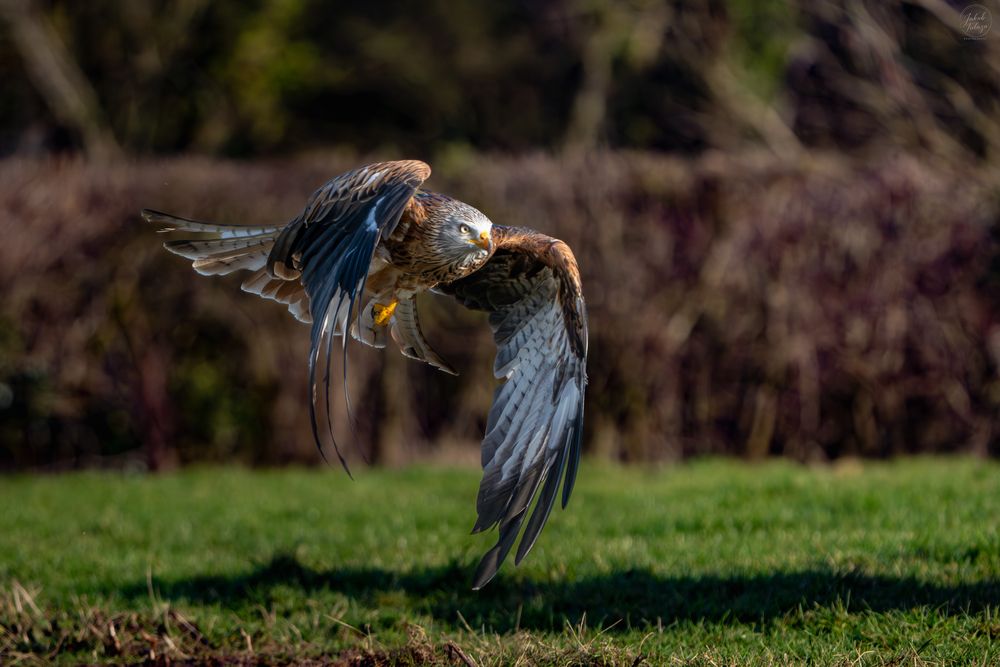 Photograph by Jakub Tulaza
