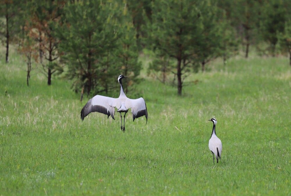 Фотография автора Екатерина Ненахова