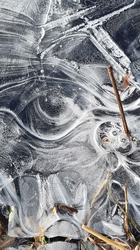 Photograph by Татьяна Устюжанина