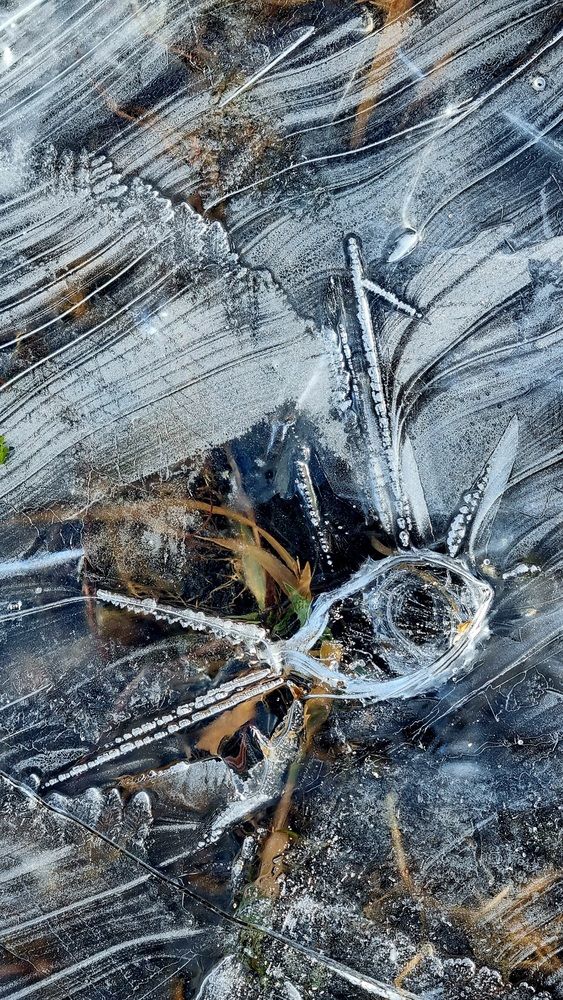 Photograph by Татьяна Устюжанина