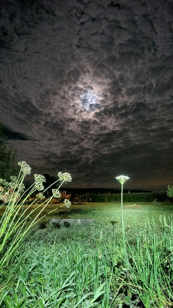 Photograph by Татьяна Устюжанина