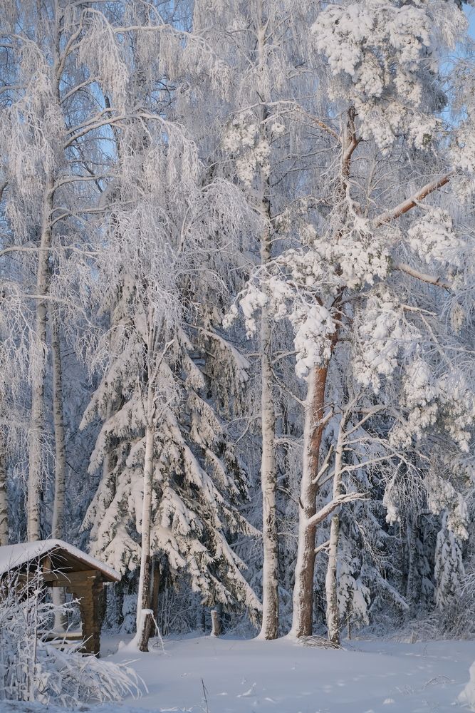 Photograph by Надежда Кангина