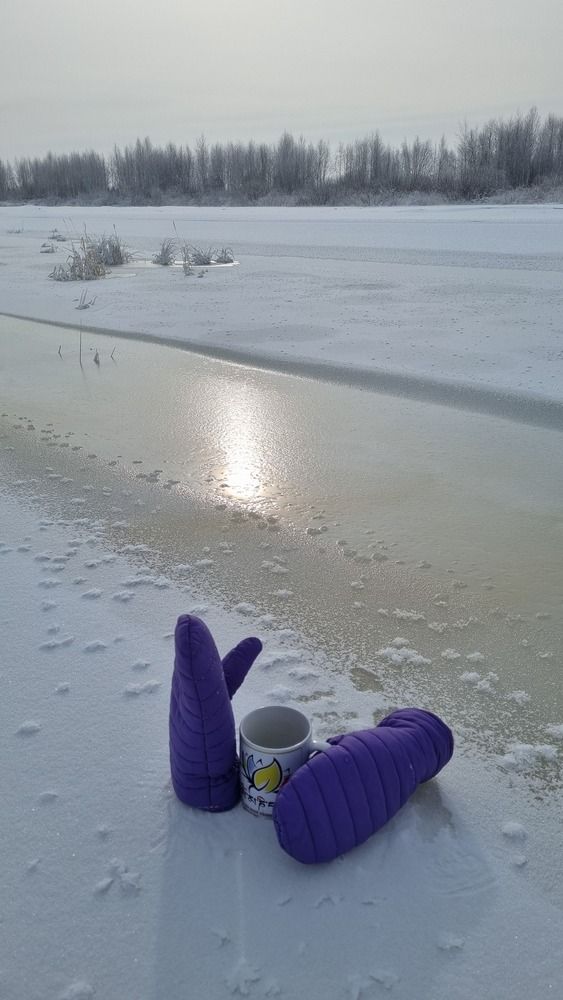 Photograph by Татьяна Устюжанина