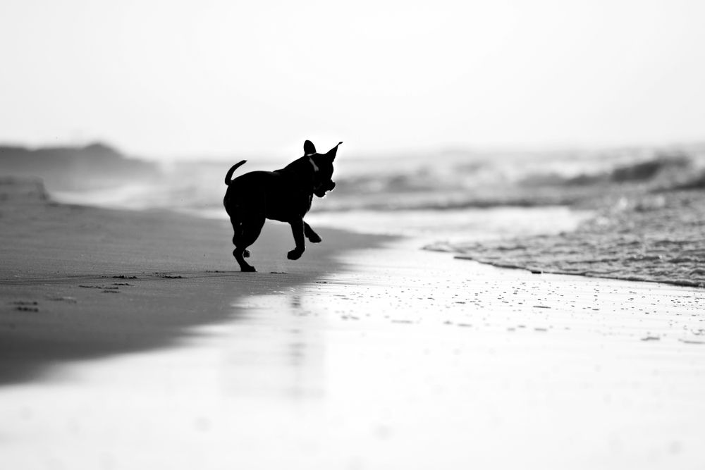 Photograph by Patrycja Dawid