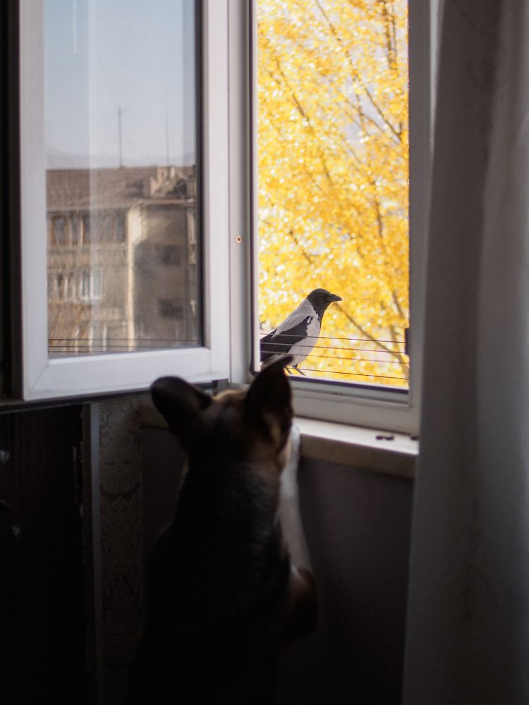 Photograph by Margarita Presidentova