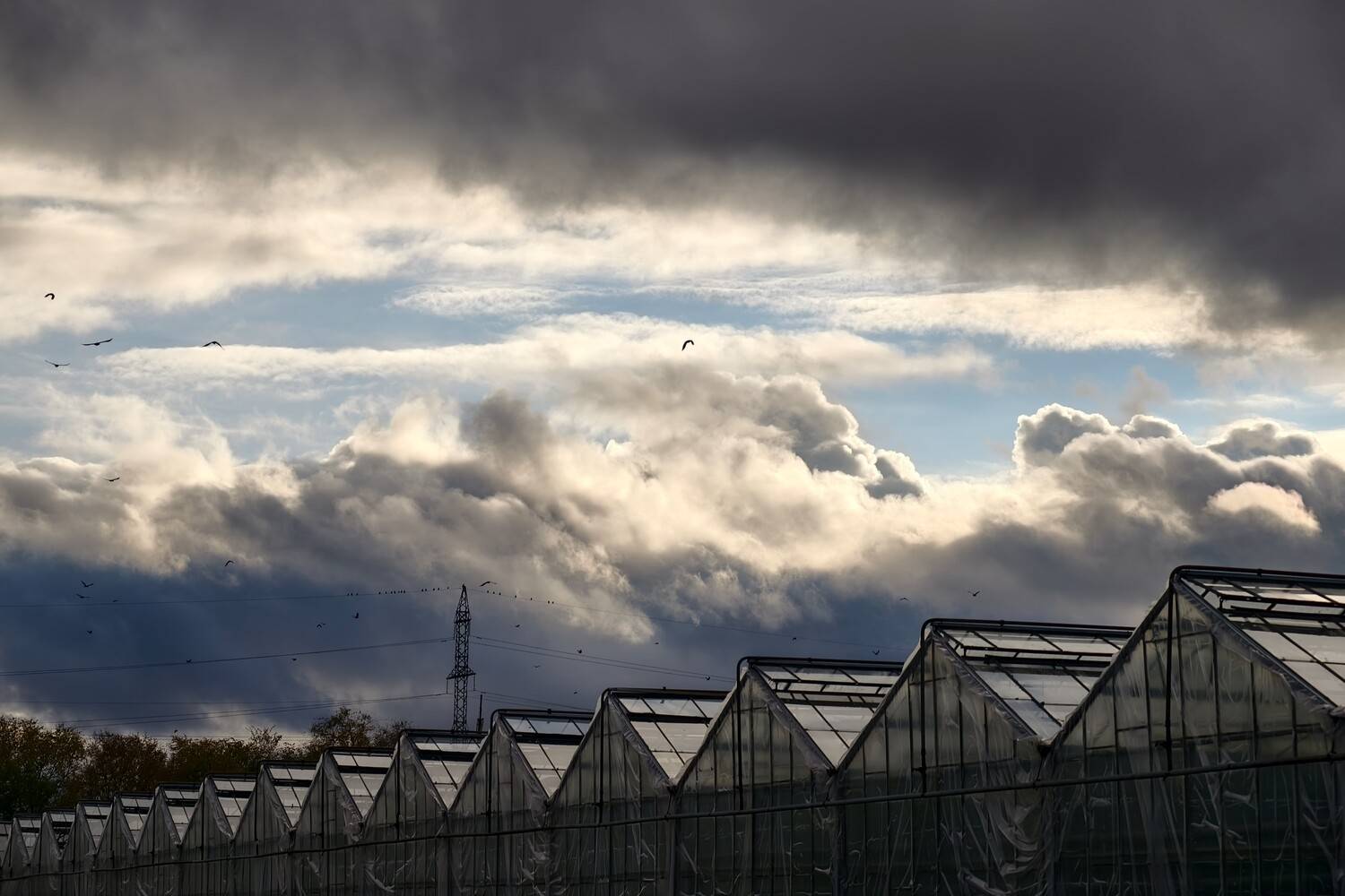 Тьма надвигается