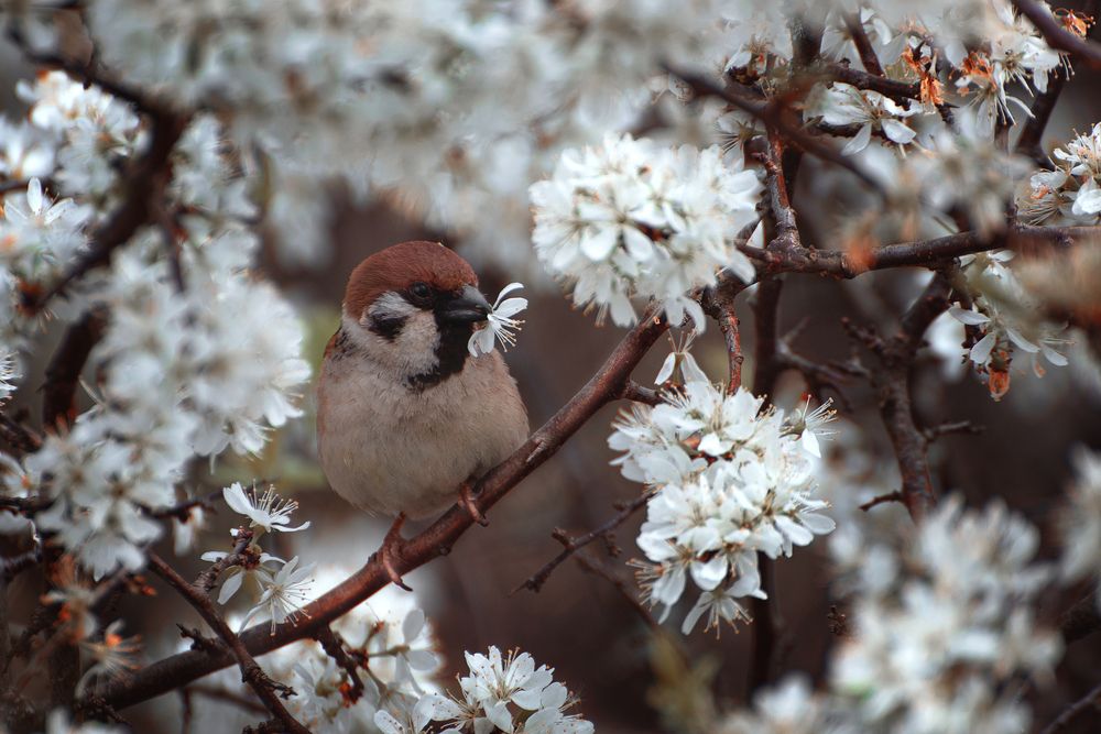 Photograph by Valeria Azamat