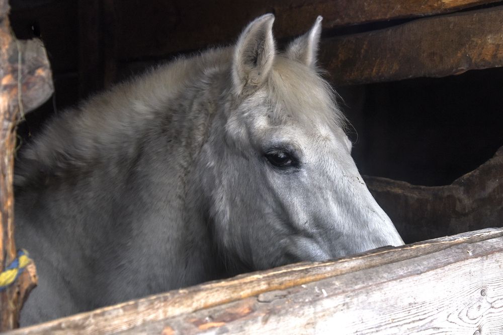 Photograph by Эд Голиков
