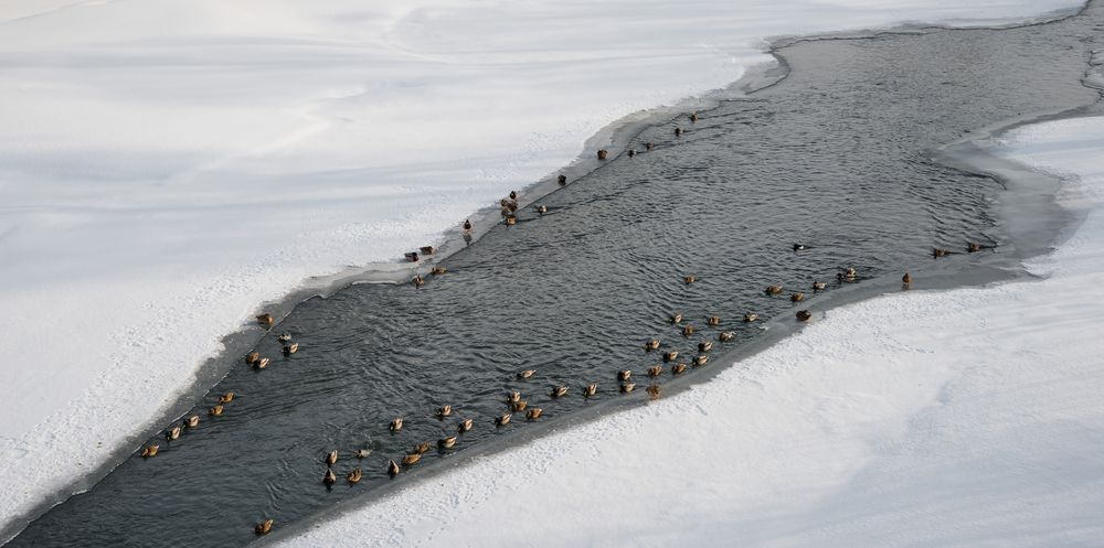 Photograph by Андрей Чуйков